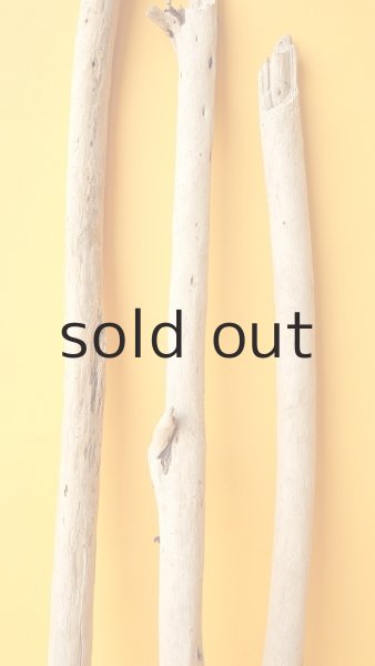 画像3: 棒流木セット (3)