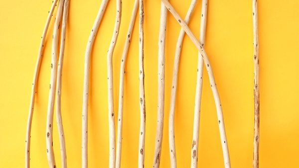 画像3: 棒流木セット (3)