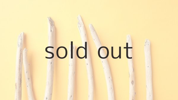 画像4: 棒流木セット (4)