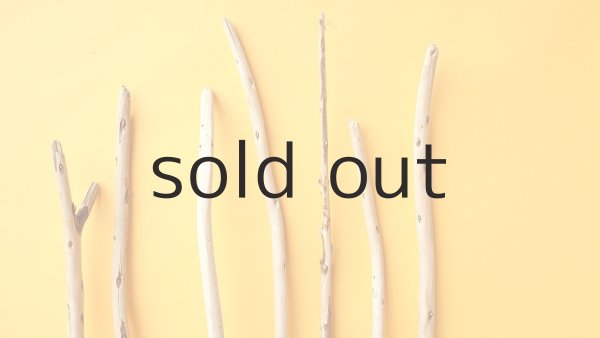 画像4: 棒流木セット (4)