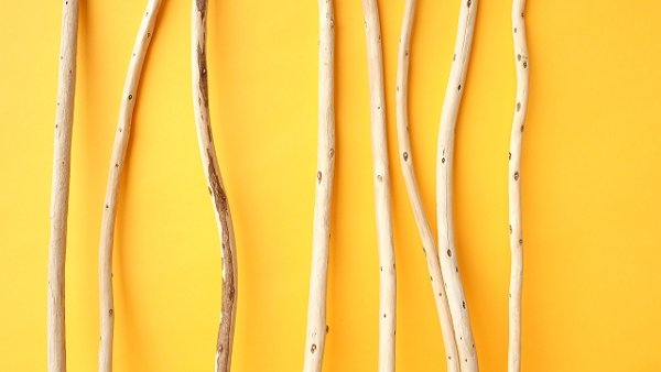 画像3: 棒流木セット (3)