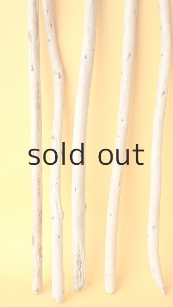 画像5: 棒流木セット (5)