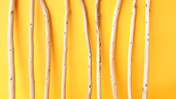 画像3: 棒流木セット (3)