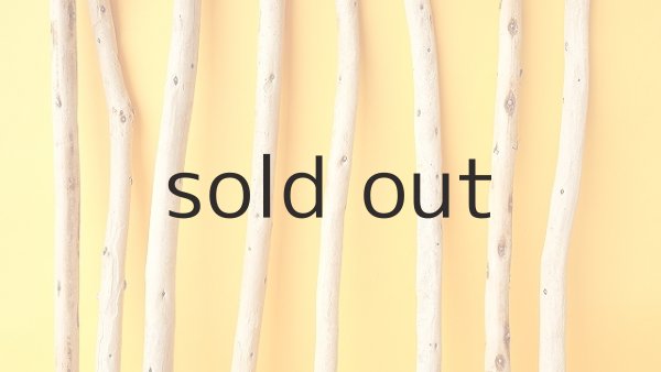 画像3: 棒流木セット (3)