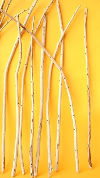 画像6: 棒流木セット (6)