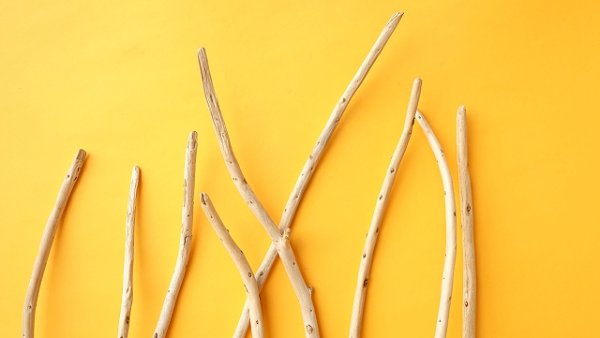 画像4: 棒流木セット (4)