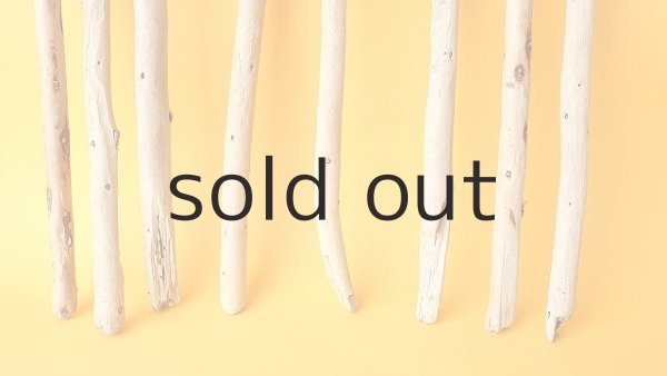 画像2: 棒流木セット (2)