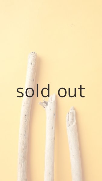 画像4: 棒流木セット (4)