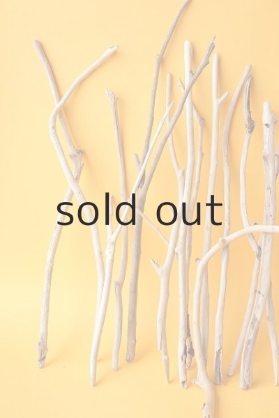 画像2: 小枝流木セット (2)