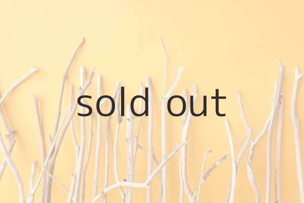 画像6: 小枝流木セット (6)