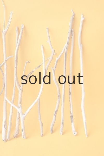 画像4: 小枝流木セット (4)