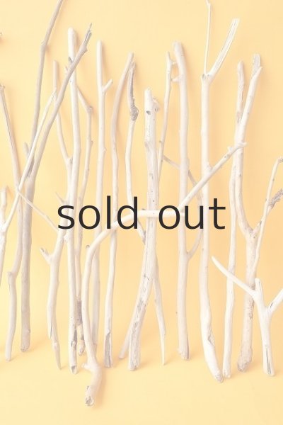 画像3: 小枝流木セット (3)