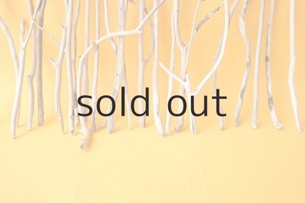 画像5: 小枝流木セット (5)