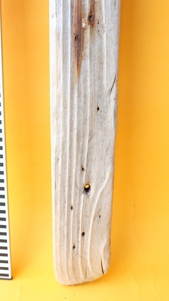 画像5: 板流木 (5)