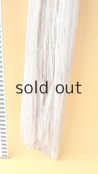 画像5: 板流木 (5)