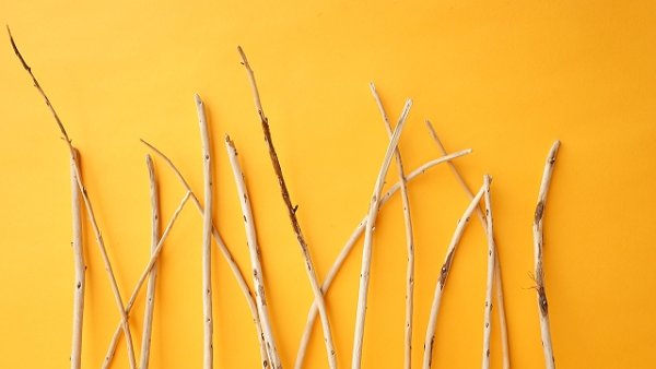 画像4: 棒流木セット (4)