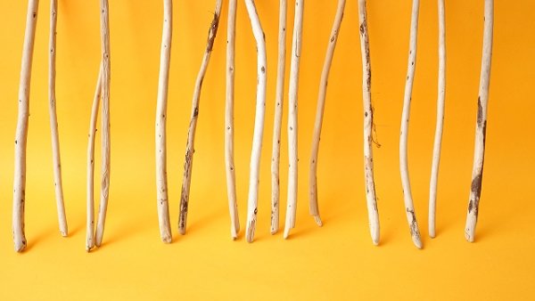 画像2: 棒流木セット (2)