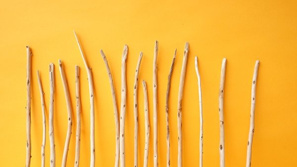 画像3: 棒流木セット (3)