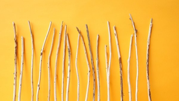 画像3: 棒流木セット (3)