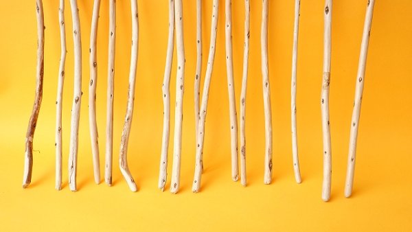 画像2: 棒流木セット (2)