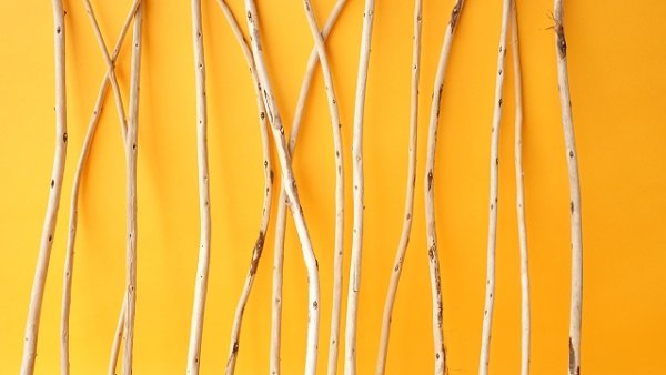 画像3: 棒流木セット (3)