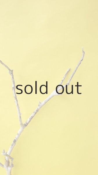 画像4: 枝流木 (4)