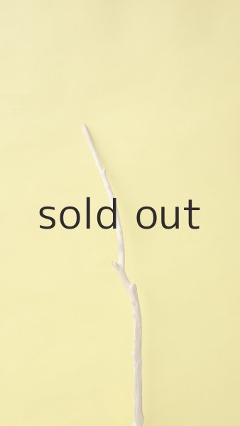 画像5: 枝流木 (5)