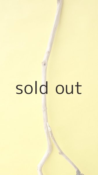 画像4: 枝流木 (4)