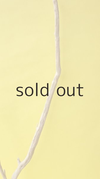 画像4: 枝流木 (4)