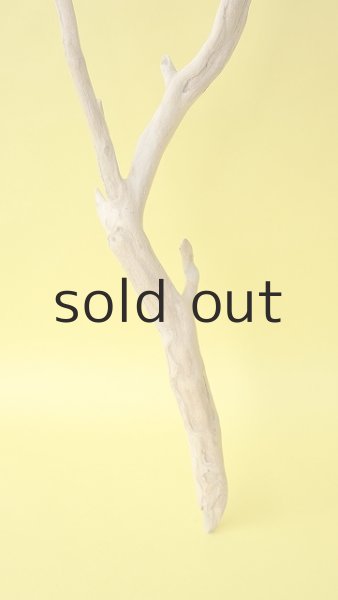 画像2: 枝流木 (2)