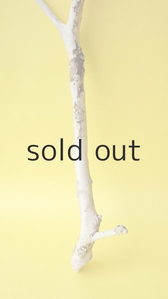 画像2: 枝流木 (2)