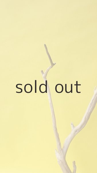 画像3: 枝流木 (3)