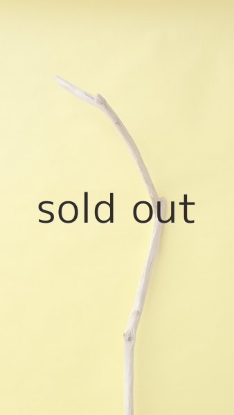 画像5: 枝流木 (5)