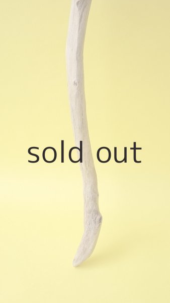 画像2: 枝流木 (2)