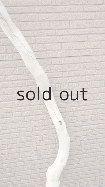 画像7: 幹流木・長尺 (7)