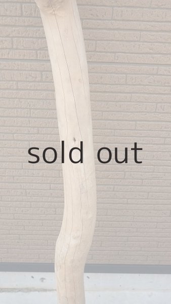 画像3: 大型　幹 (3)