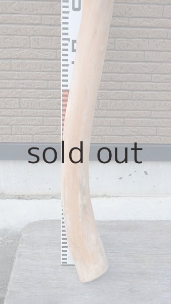 画像5: 幹流木 (5)