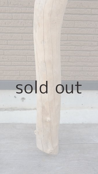 画像2: 大型　幹 (2)