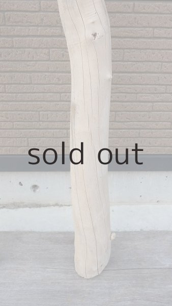 画像6: 大型　幹 (6)