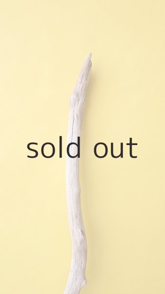 画像4: 枝流木 (4)