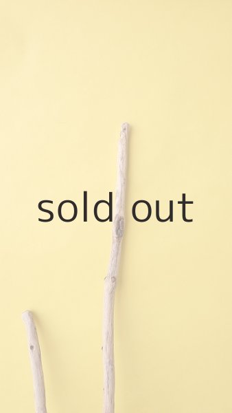 画像4: 枝流木 (4)