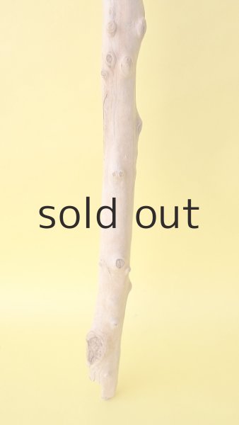 画像2: 枝流木 (2)