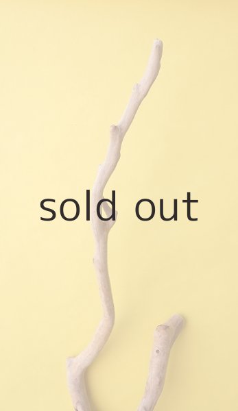 画像3: 枝流木 (3)