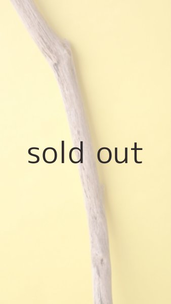 画像3: 枝流木 (3)