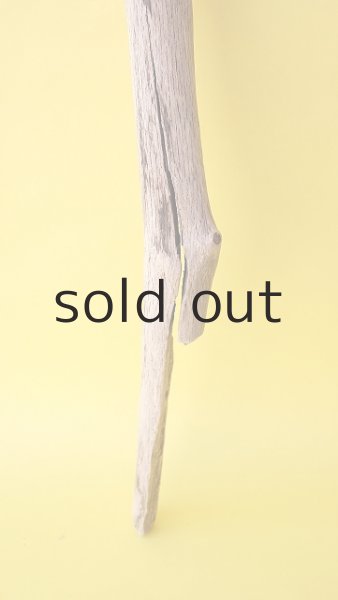 画像2: 枝流木 (2)