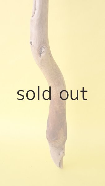 画像2: 枝流木 (2)