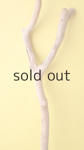 画像5: 枝流木 (5)