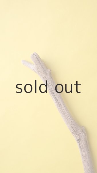 画像4: 枝流木 (4)