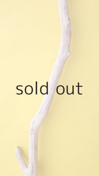 画像3: 枝流木 (3)