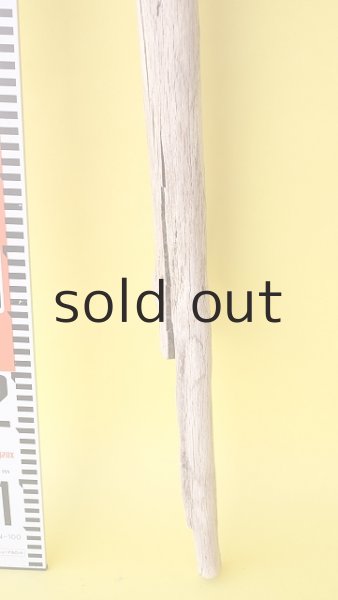 画像5: 枝流木 (5)